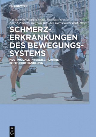 Libro Schmerzerkrankungen des Bewegungssystems Kay Niemier