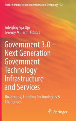 Kniha Government 3.0 - Next Generation Government Technology Infrastructure and Services Adegboyega Ojo