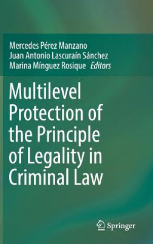 Libro Multilevel Protection of the Principle of Legality in Criminal Law Mercedes Pérez Manzano