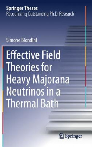 Kniha Effective Field Theories for Heavy Majorana Neutrinos in a Thermal Bath Simone Biondini