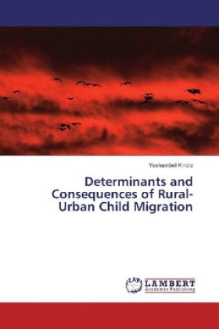 Kniha Determinants and Consequences of Rural-Urban Child Migration Yeshambel Kindie