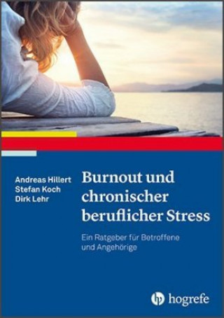 Knjiga Burnout und chronischer beruflicher Stress Andreas Hillert