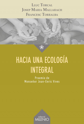 Book Hacia una ecología integral 