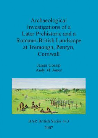Könyv Archaeological investigations of a later prehistoric and a Romano-British landscape at Tremough, Penryn, Cornwall Andrew Michael Jones