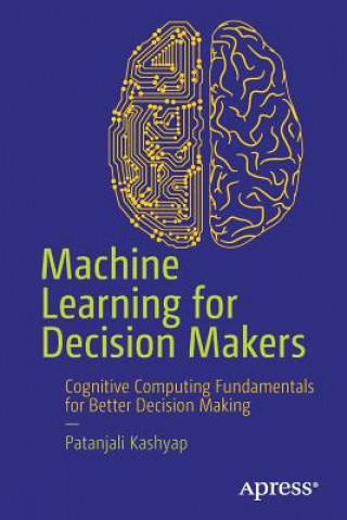 Buch Machine Learning for Decision Makers Dr. Patanjali Kashyap