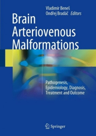 Knjiga Brain Arteriovenous Malformations Vladimír BeneS