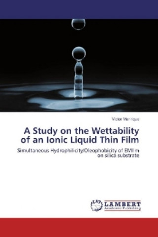 Carte A Study on the Wettability of an Ionic Liquid Thin Film Victor Manrique