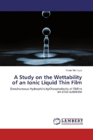 Buch A Study on the Wettability of an Ionic Liquid Thin Film Victor Manrique