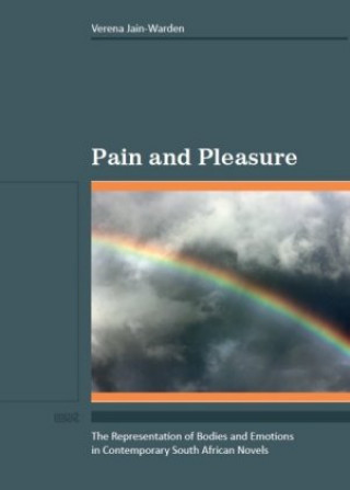 Kniha Pain and Pleasure Verena Jain-Warden