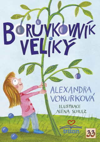 Книга Borůvkovník veliký Alexandra Vokurková
