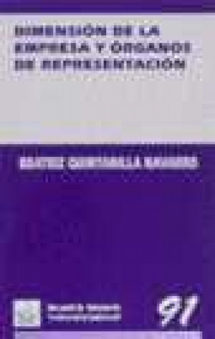 Kniha Dimensión de la empresa y órganos de representación Beatriz Quintanilla Navarro