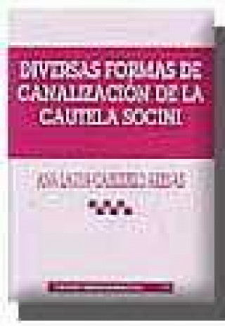 Book Diversas formas de canalización de la cautela socini Ana Laura Cabezuelo Arenas