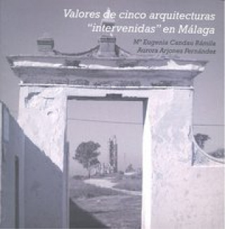 Kniha VALORES DE CINCO ARQUITECTURAS INTERVENIDAS EN MALAGA 