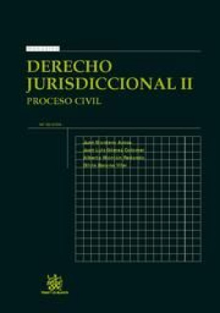 Kniha Derecho jurisdiccinal II : proceso civil Juan Montero Aroca