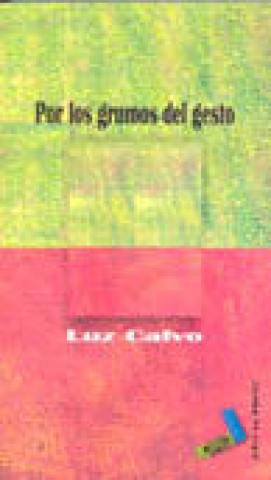 Könyv Por los grumos del gesto Luz Calvo García