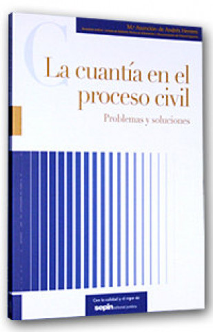 Carte La cuantía en el proceso civil : problemas y soluciones María Asunción de Andrés Herrero