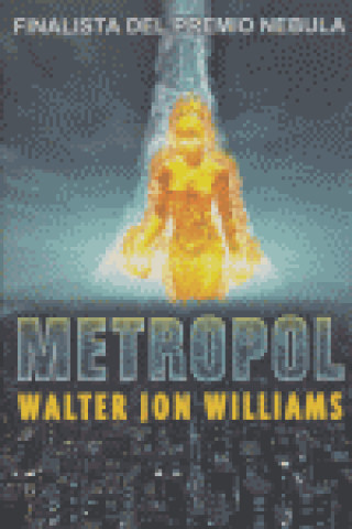 Kniha Metropol Walter Jon Williams