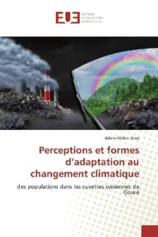 Kniha Perceptions et formes d'adaptation au changement climatique Adam Abdou Alou
