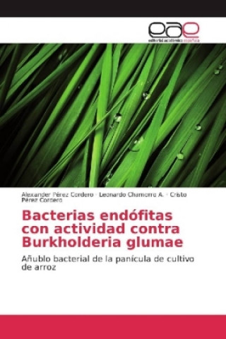 Książka Bacterias endófitas con actividad contra Burkholderia glumae Alexander Pérez Cordero