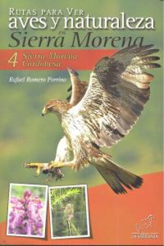 Książka RUTAS PARA VER AVES Y NATURALEZA EN SIERRA MORENA VOL IV 