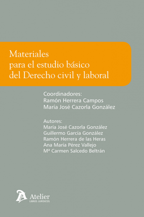 Carte Materiales básicos para el estudio del derecho civil y laboral : manual de innovación docente adaptado a los grados de titulaciones no jurídicas 