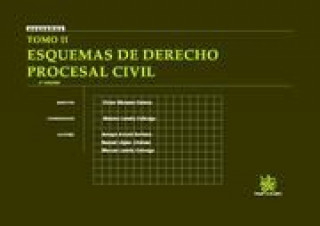 Kniha Esquemas de derecho procesal civil Amaya Arnaiz Serrano