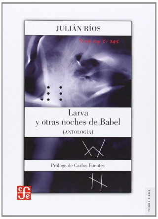 Buch LARVA Y OTRAS NOCHES DE BABEL JULIAN RIOS