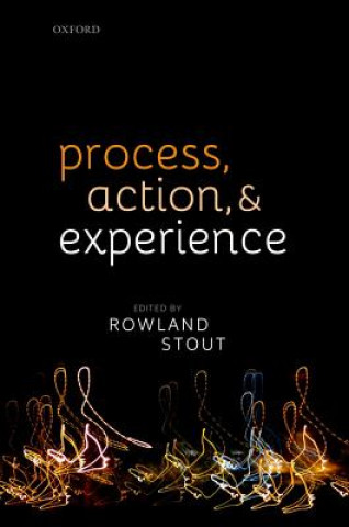 Buch Process, Action, and Experience Rowland Stout