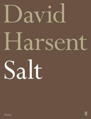 Könyv Salt David Harsent