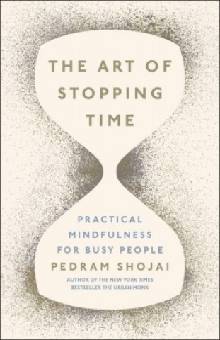 Könyv Art of Stopping Time SHOJAI   PEDRAM