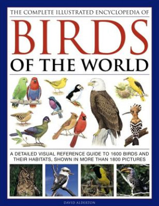 Knjiga Complete Illustrated Encyclopedia of Birds of the World David Alderton