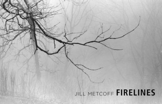 Knjiga Firelines Jill Metcoff