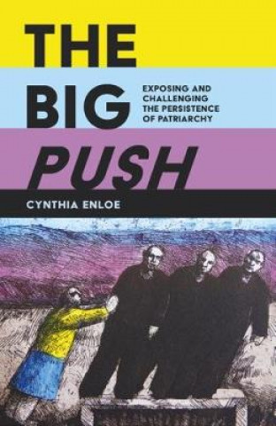 Carte Big Push Cynthia Enloe