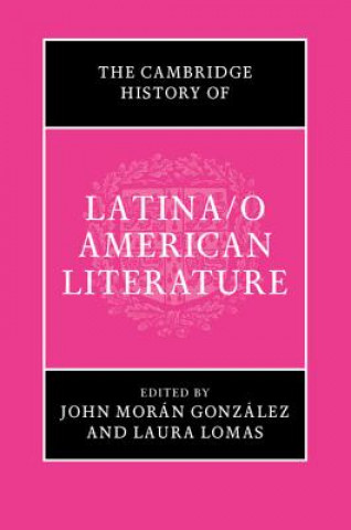 Könyv Cambridge History of Latina/o American Literature EDITED BY JOHN MOR