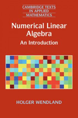 Carte Numerical Linear Algebra WENDLAND  HOLGER