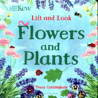 Könyv Kew: Lift and Look Flowers and Plants Tracy Cottingham