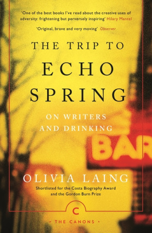 Kniha Trip to Echo Spring Olivia Laing
