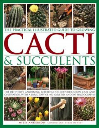 Kniha Practical Illustrated Guide to Growing Cacti & Succulents Miles Anderson