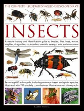 Carte Complete Illustrated World Encyclopedia of Insects Martin Walters