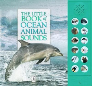Kniha Little Book of Ocean Animal Sounds CAZ BUCKINGHAM