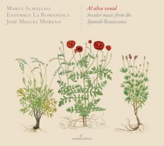 Audio Al alva venid-Secular music from the Spanish Ren Almajano/Pandolfo/Moreno/La Romanesca