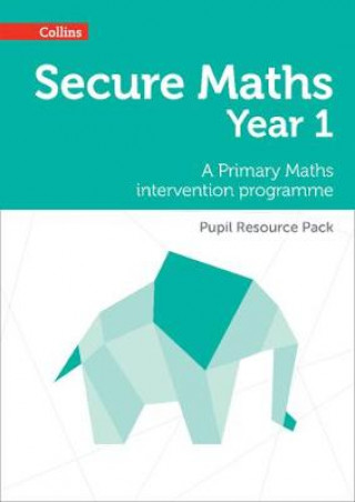 Knjiga Secure Year 1 Maths Pupil Resource Pack Emma Low