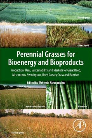 Carte Perennial Grasses for Bioenergy and Bioproducts Efthymia Alexopoulou