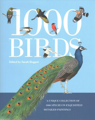 Carte 1000 Birds: A Unique Collection of 1,000 Species in Exquisitely Detailed Paintings 