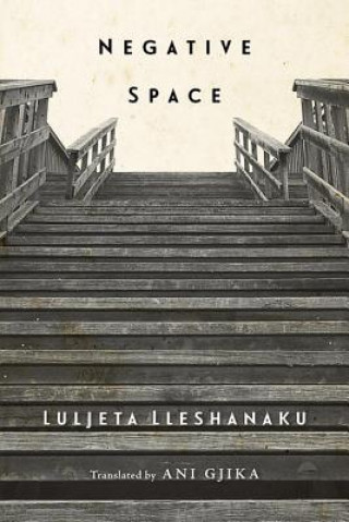 Knjiga Negative Space Luljeta Lleshanaku