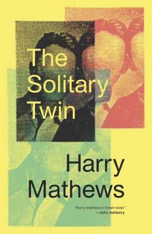 Kniha The Solitary Twin Harry Mathews