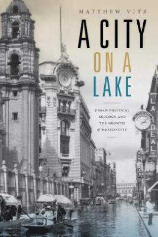 Carte City on a Lake Matthew Vitz