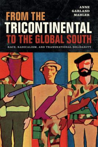 Könyv From the Tricontinental to the Global South Anne Garland Mahler
