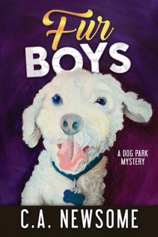 Book Fur Boys C. A. Newsome