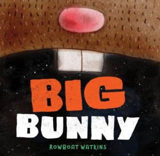 Kniha Big Bunny Rowboat Watkins